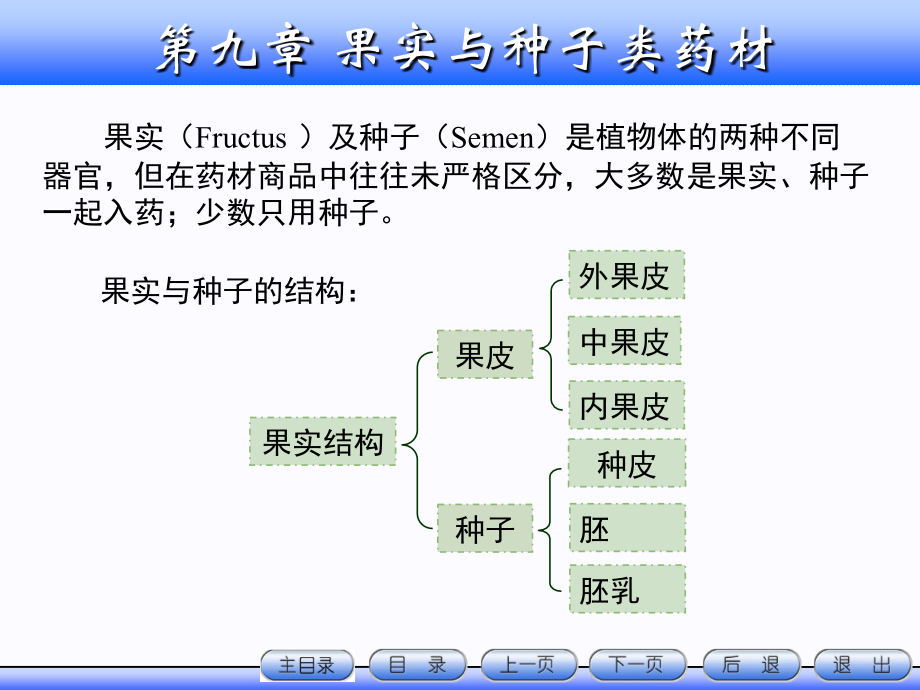 果实种子描述.ppt_第1页