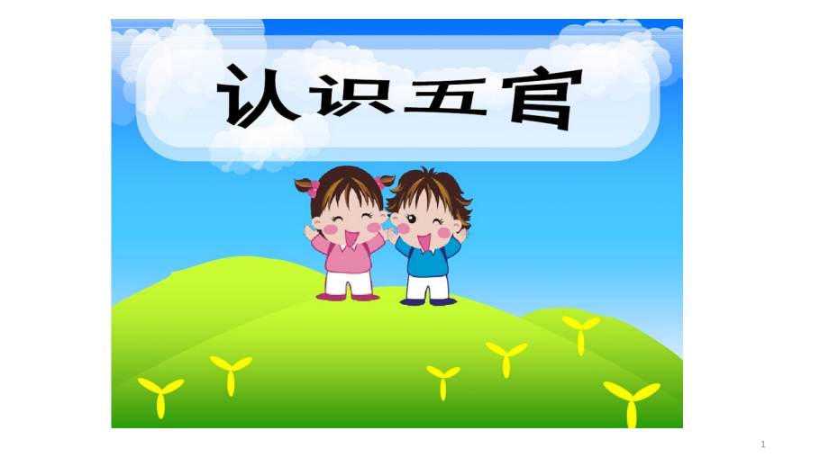 认识五官.ppt_第1页