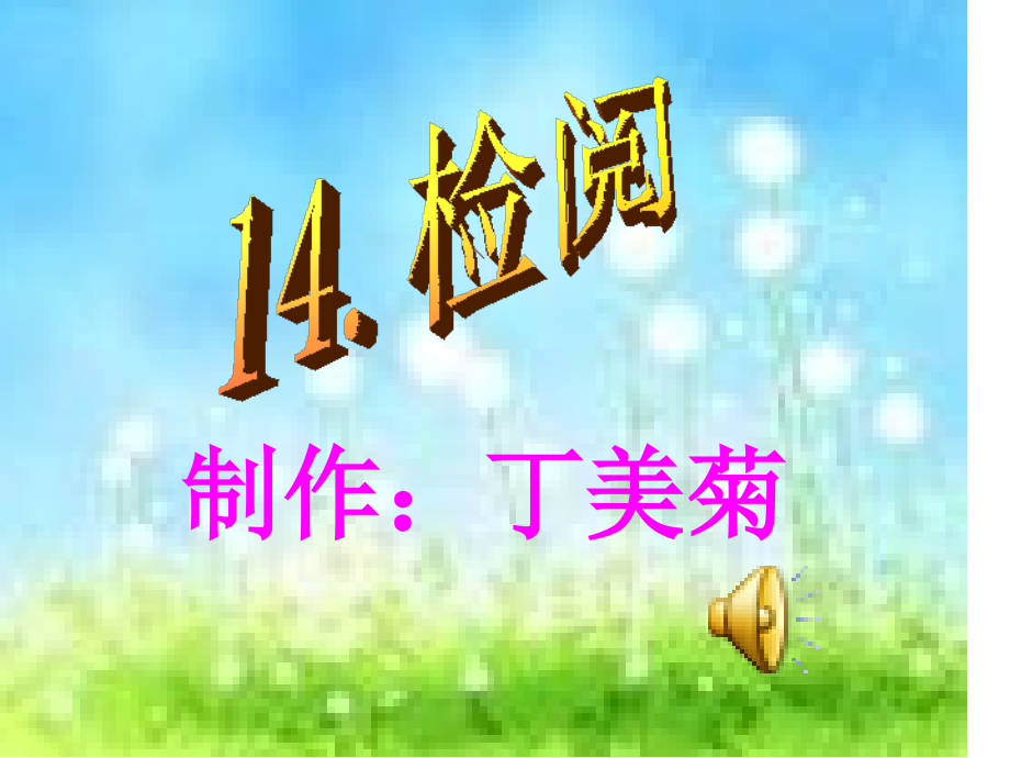 14.《检阅》..ppt_第1页