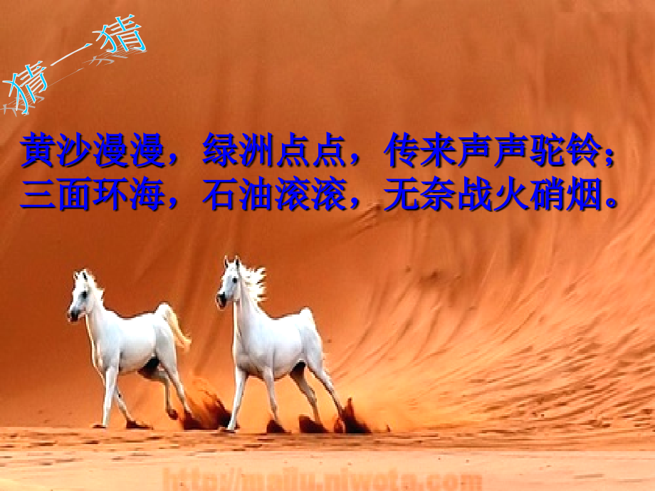 阿拉伯帝国与伊斯兰文明.ppt_第2页