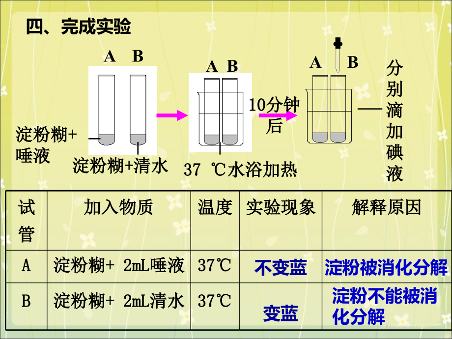 探究唾液在馒头的消化过程中的作用.ppt_第2页
