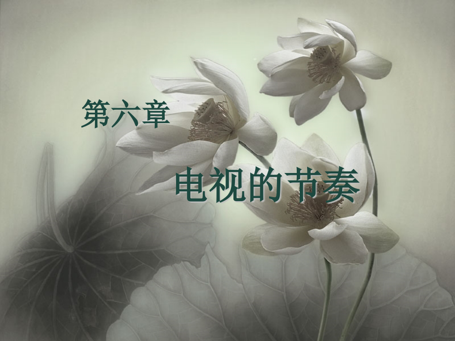 电视的节奏.ppt_第1页