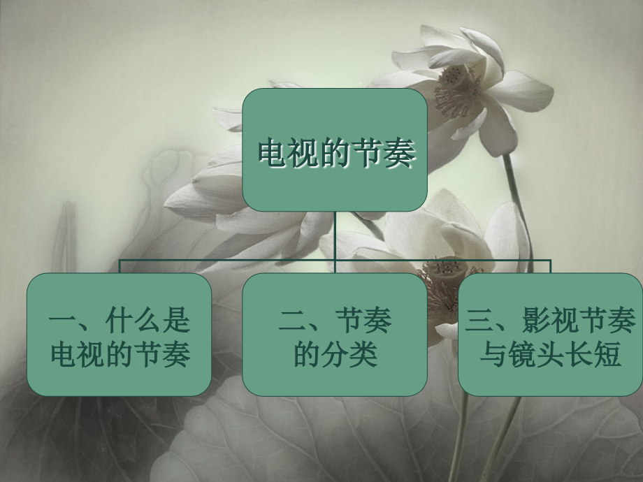 电视的节奏.ppt_第2页