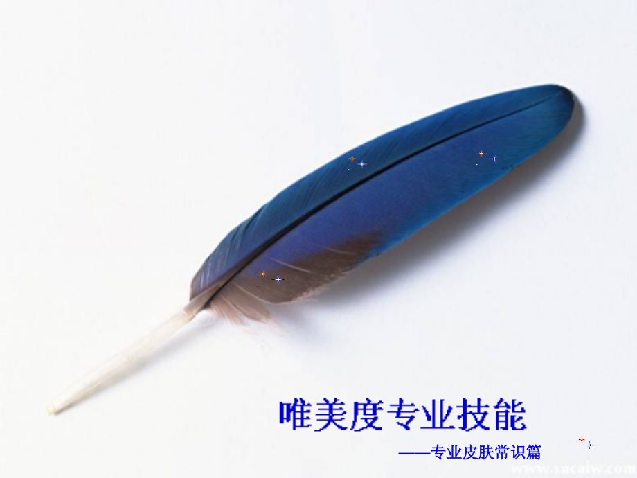 专业皮肤常识篇.ppt_第1页