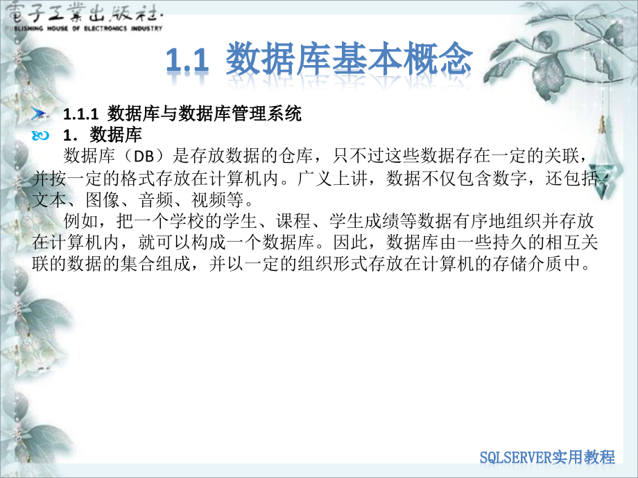 数据库的基本概念.ppt_第2页