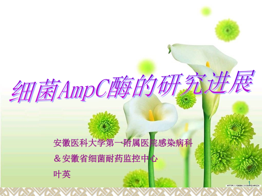 AmpC酶的研究进展.ppt_第1页