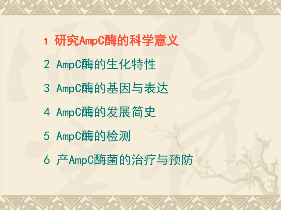 AmpC酶的研究进展.ppt_第2页