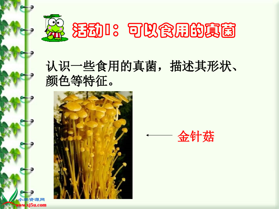生活中的真菌gdkj.ppt_第2页