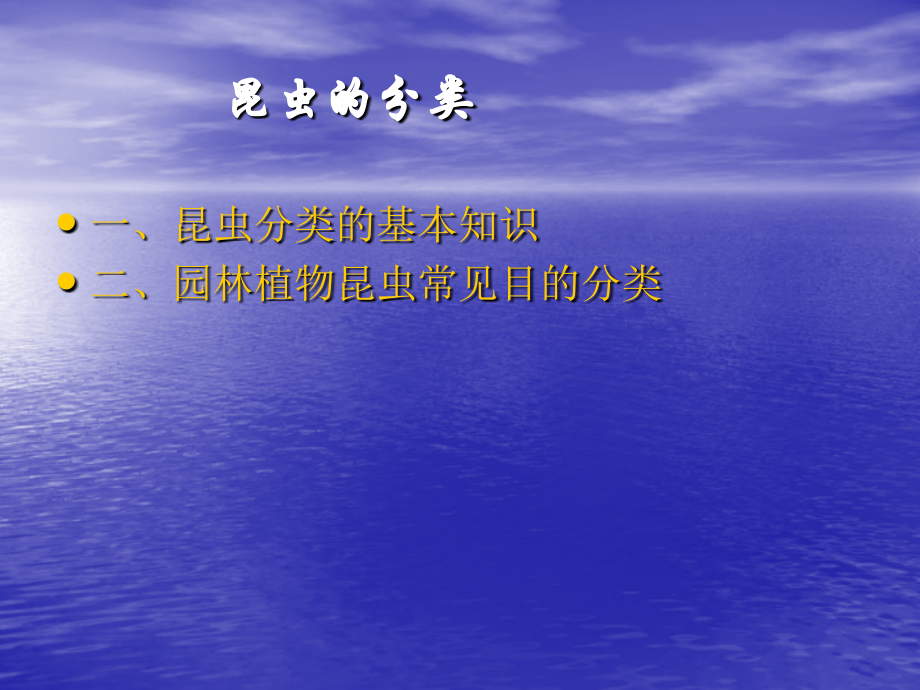 常见昆虫的分类.ppt_第2页