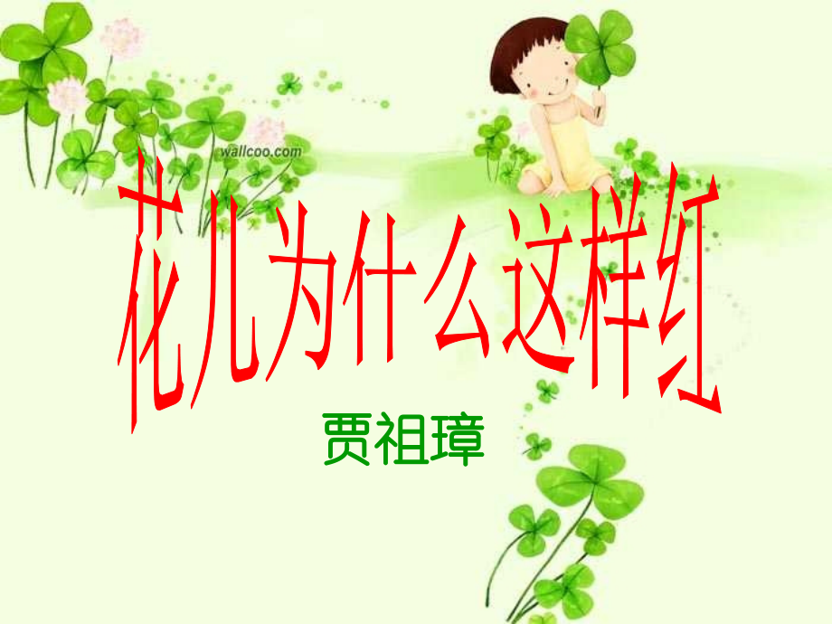 花儿为什这样红.ppt_第1页