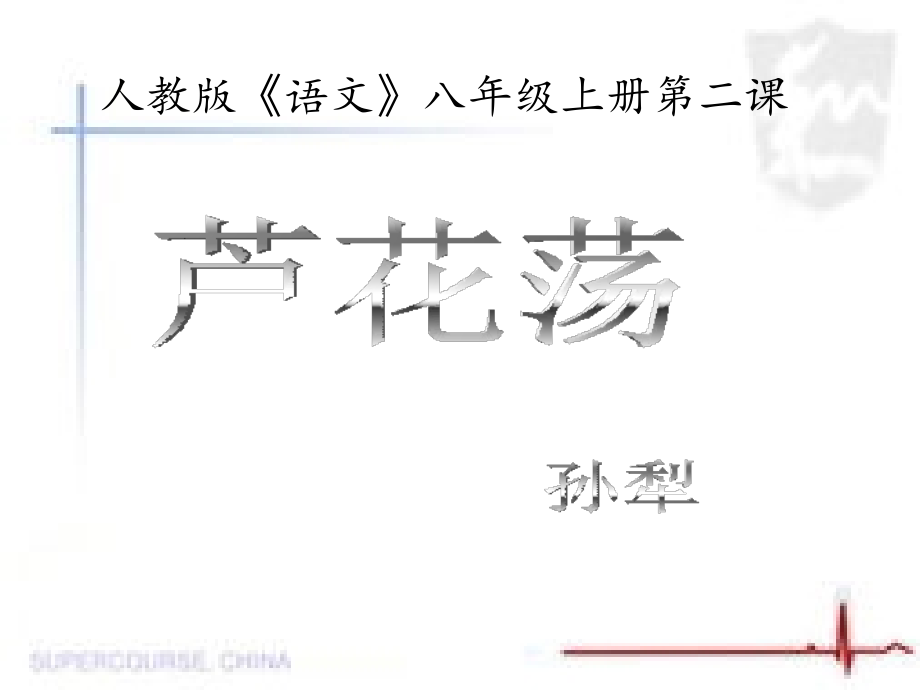 芦花荡习题.ppt_第1页