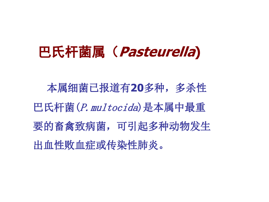 革兰氏阴性杆菌.ppt_第2页