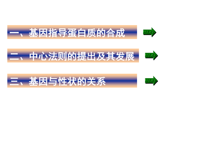 第4章+基因的表达.ppt_第2页
