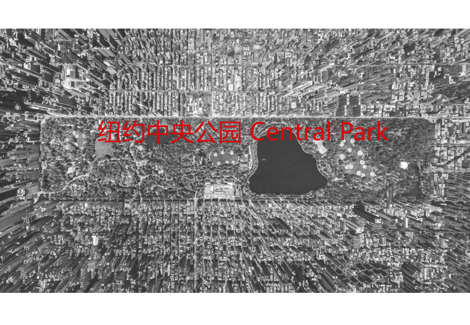 纽约中央公园(Central-Park).ppt_第1页