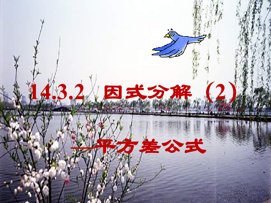 分解因式—平方差公式.ppt_第2页