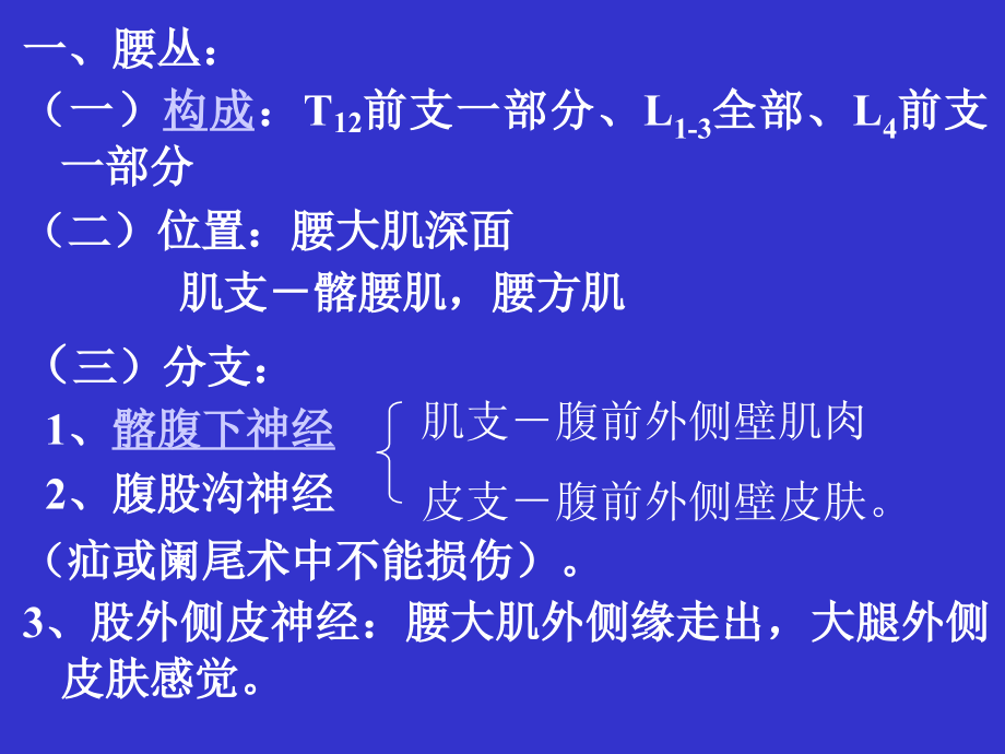 人体解剖学医学知识专题讲座.ppt_第2页