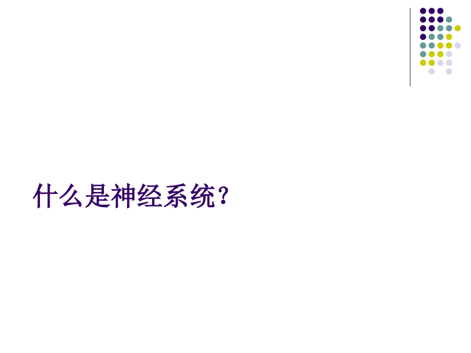 中枢神经系统的可塑性.pptx_第2页