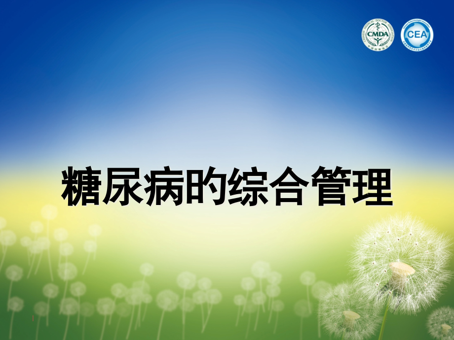 糖尿病的综合管理.pptx_第1页