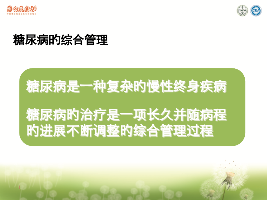 糖尿病的综合管理.pptx_第2页