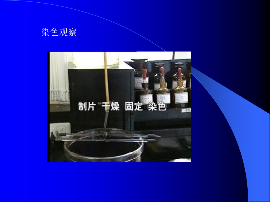 微生物检测基本技术.ppt_第2页