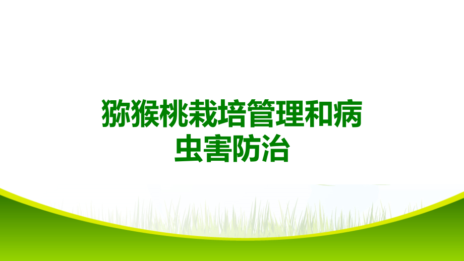 猕猴桃栽培管理和病虫害防治.ppt_第1页