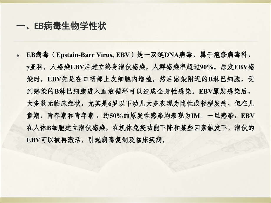 EB病毒感染相关性疾病讲义.ppt_第2页