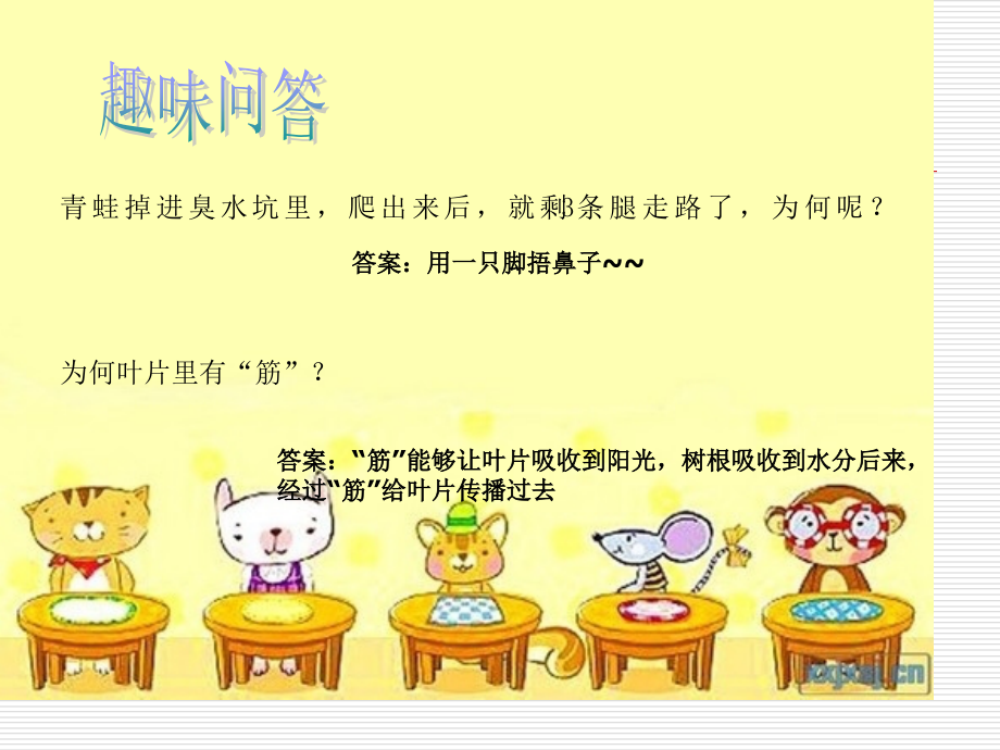 科普讲座.pptx_第2页