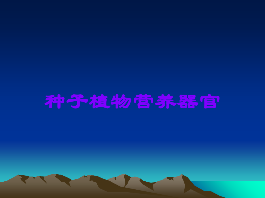种子植物营养器官.ppt_第1页