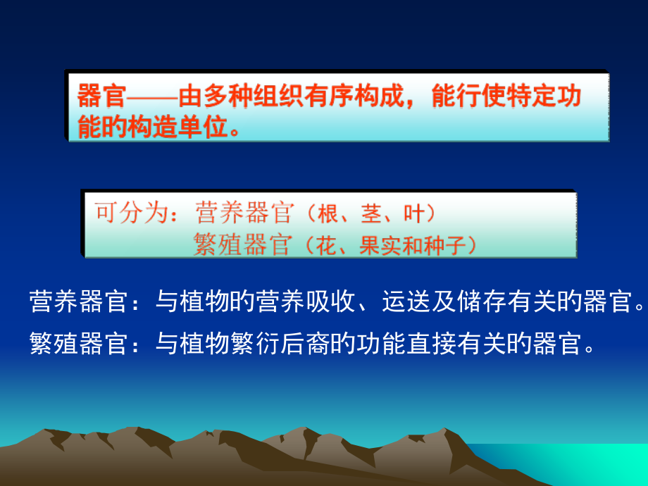 种子植物营养器官.ppt_第2页