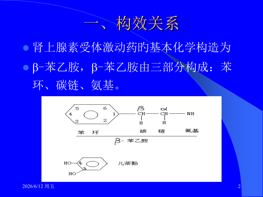 药理学肾上腺素受体激动药专题知识宣教.ppt_第2页