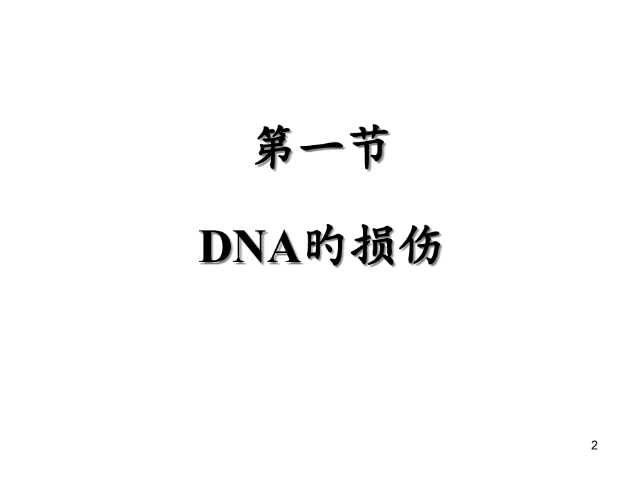 DNA的损伤修复及突变.pptx_第2页
