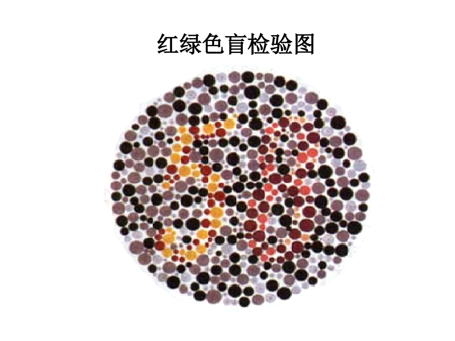 必修伴性遗传.ppt_第2页