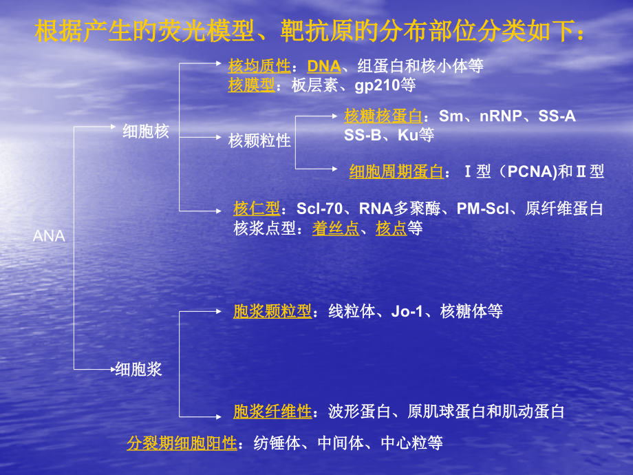 抗核抗体荧光片判读.ppt_第2页