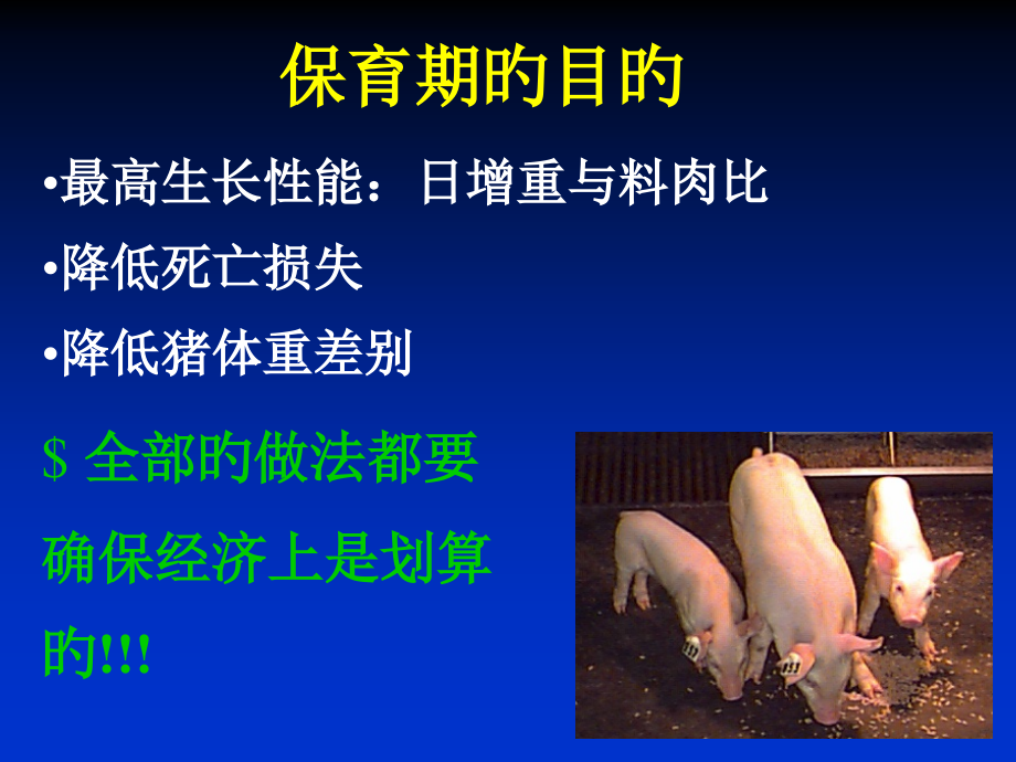 乳猪的饲料和饲养管理培训资料.ppt_第2页