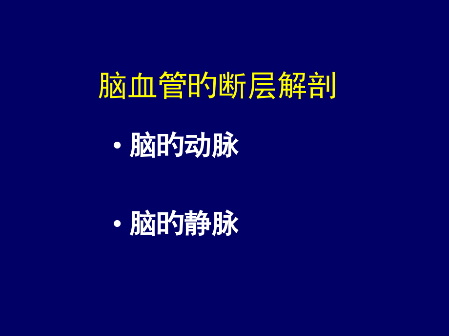 大脑前中后动脉血管图.pptx_第2页