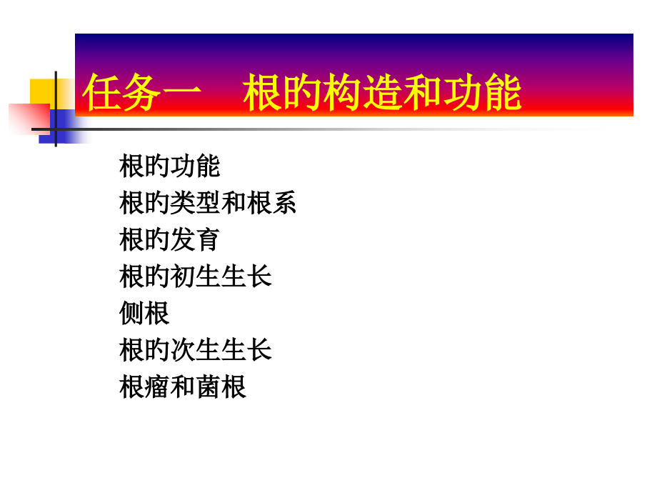 项目根及根茎类中药.ppt_第2页