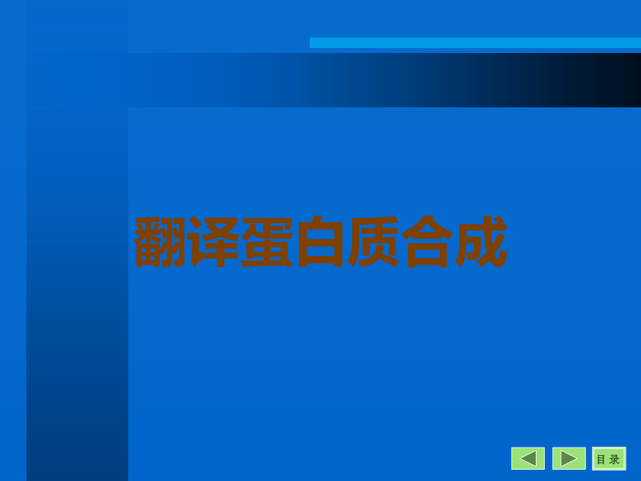 翻译蛋白质合成.ppt_第1页