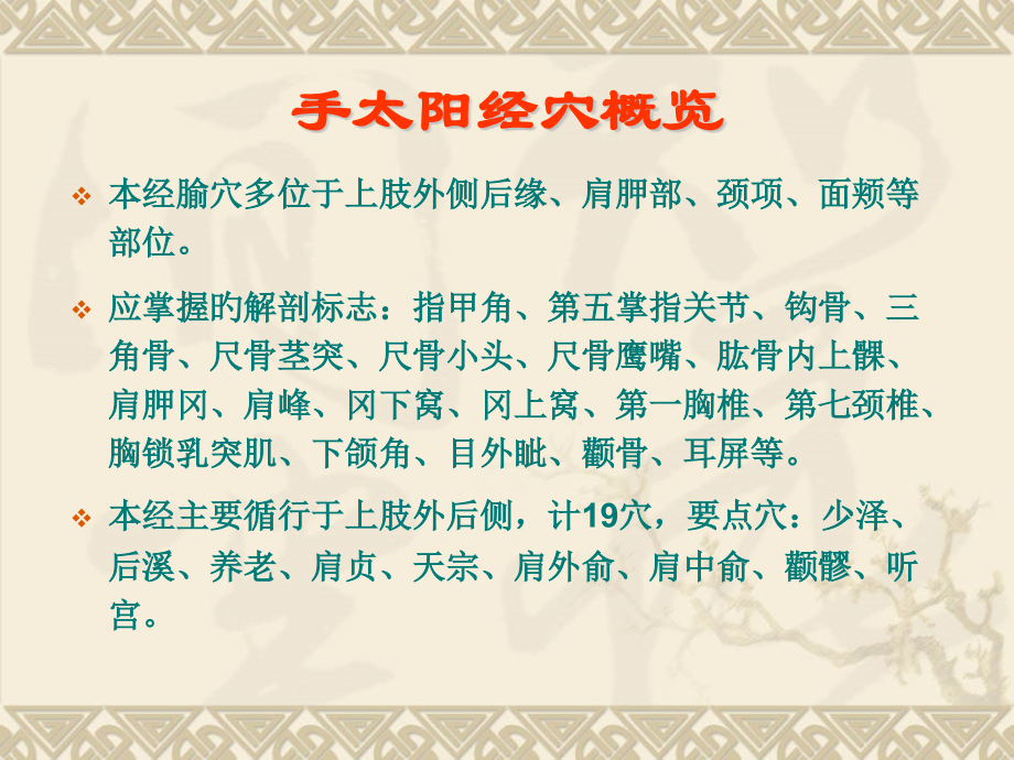 经络腧穴各论小肠.pptx_第2页
