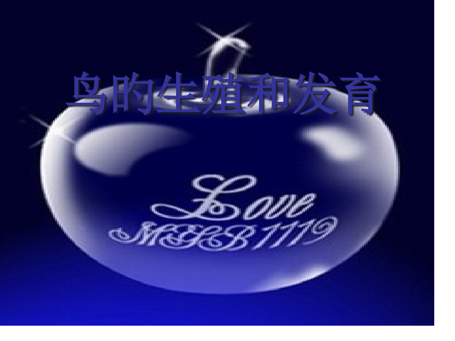 鸟的生殖和发育课件.pptx_第1页