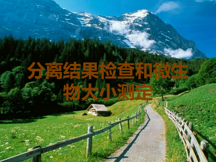 分离结果检查和微生物大小测定.ppt_第1页