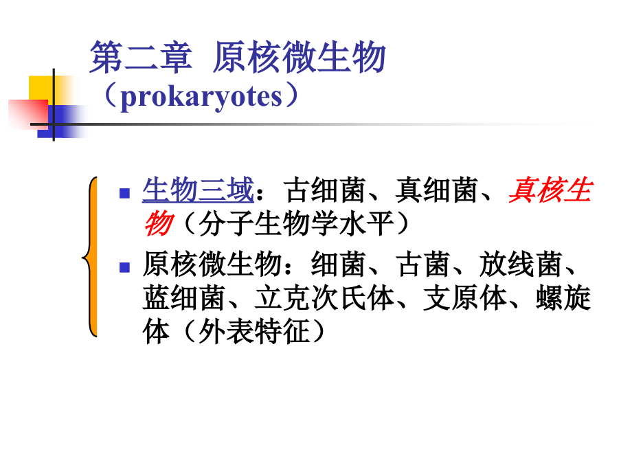 原核微生物古细菌专家讲座.ppt_第2页