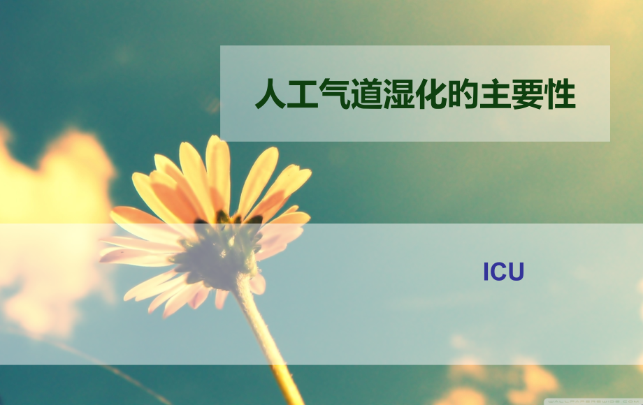 人工气道湿化的重要性.pptx_第1页