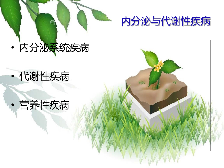内分泌代谢疾病医疗管理知识分析护理.ppt_第2页
