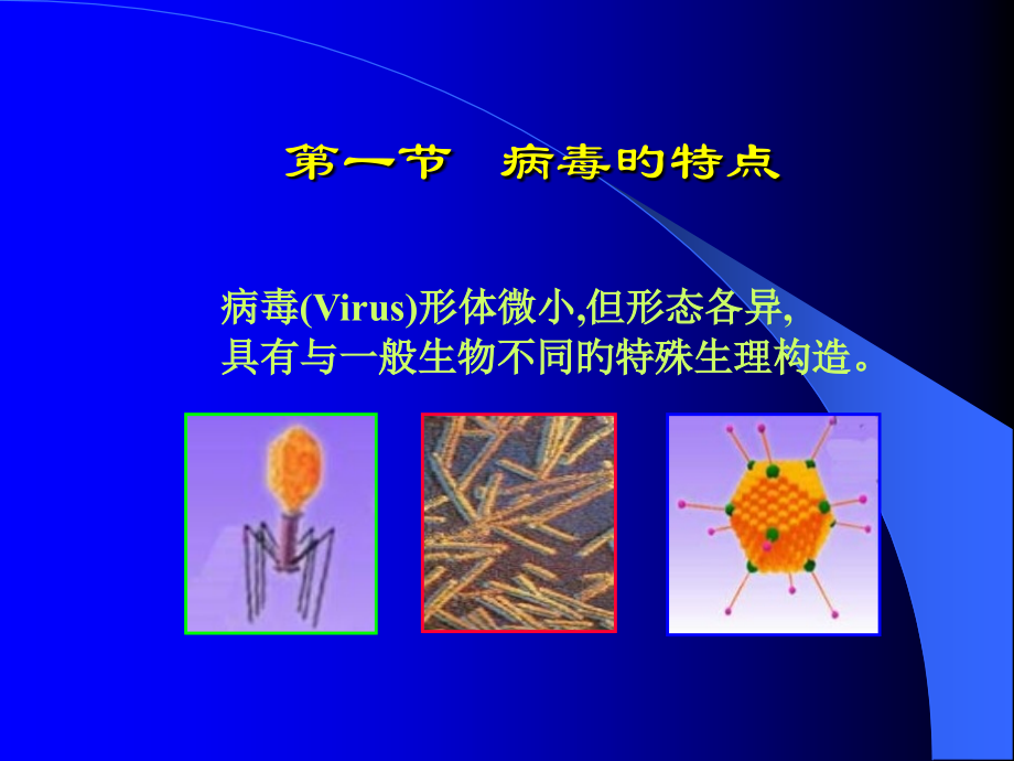 非细胞型生物病毒.ppt_第2页