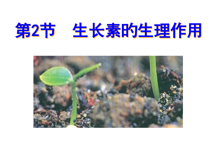 新版生长素的生理作用.pptx_第1页