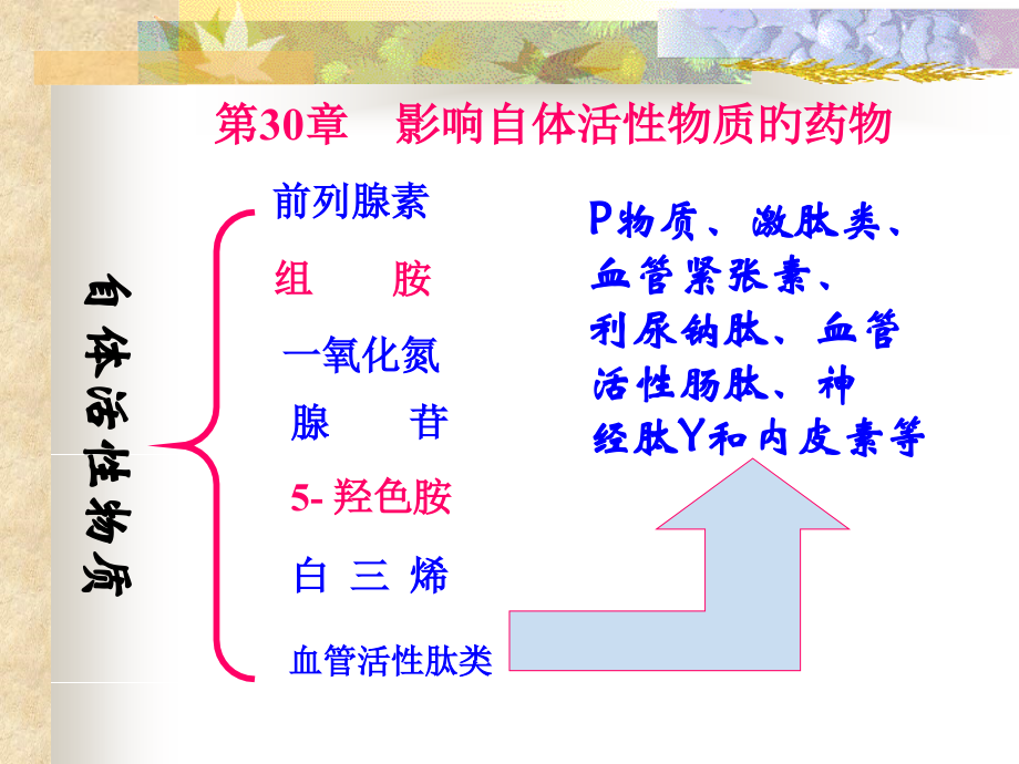 影响自体活性物质的药物.pptx_第1页