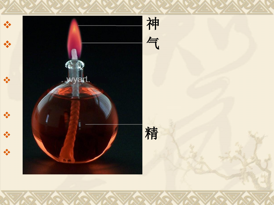 五脏六腑与养生生动版.ppt_第2页