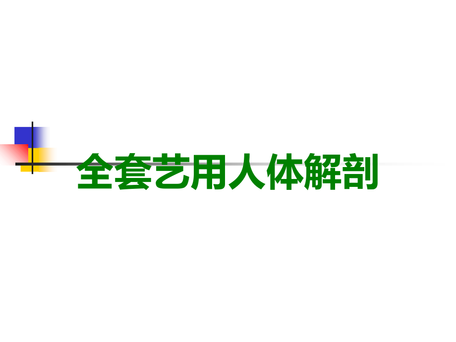 全套艺用人体解剖.ppt_第1页