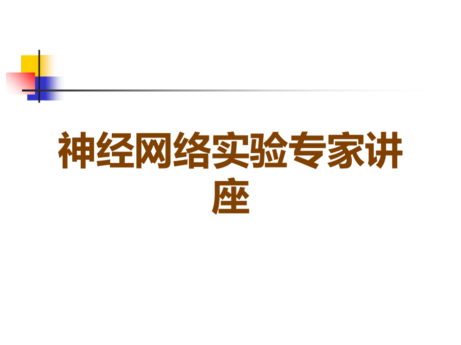 神经网络实验专家讲座.ppt_第1页