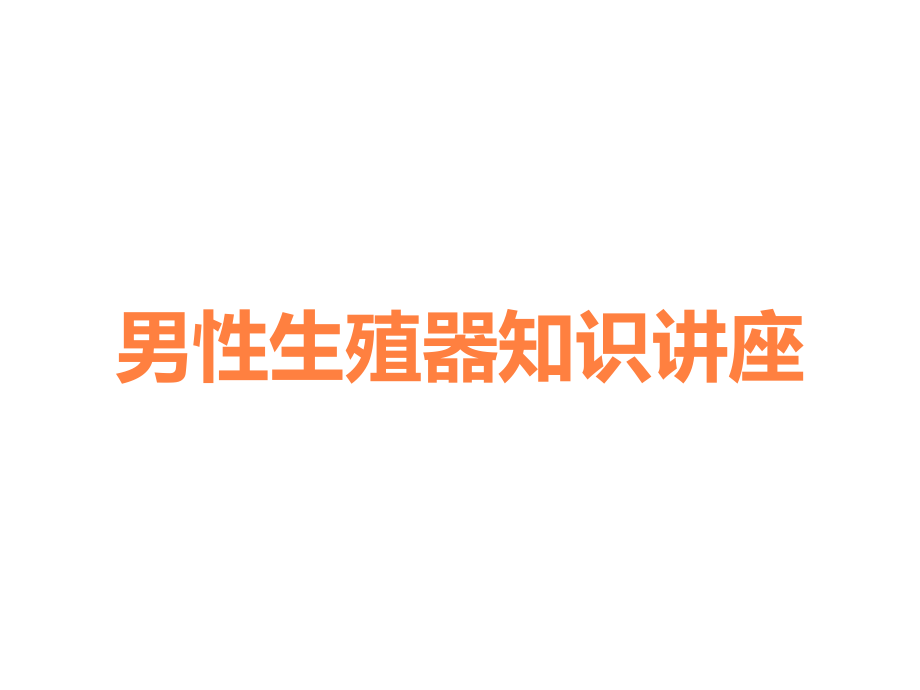 男性生殖器知识讲座.ppt_第1页